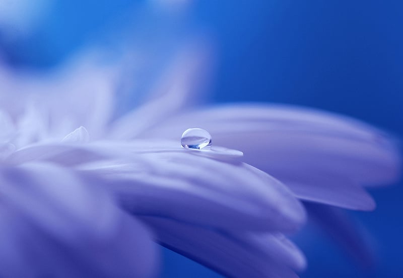Mystical Decor Image